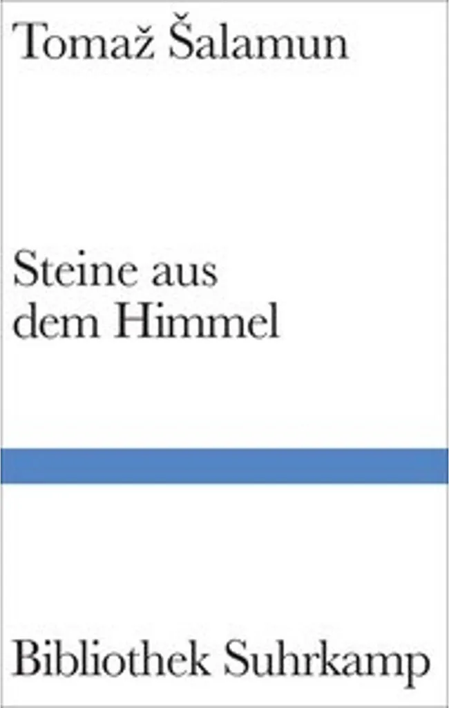 Météorite Steine aus dem Himmel - Pierre de Collection Authentique Rare