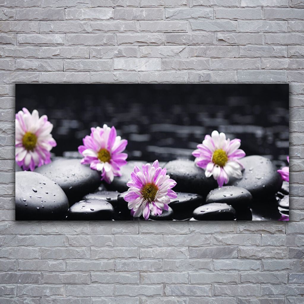 Glasbilder 120x60 Wandbild Druck auf Glas Blumen Steine Pflanzen