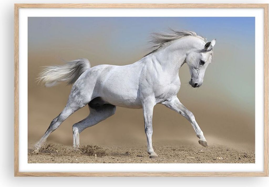 Gerahmtes Poster - Rahmen in heller Eiche - Pferd weiß Tier - 91,5x61 cm - Wand Bild - Wanddeko - Wandbilder - Kunstposter - Wandposter - Bilderra...