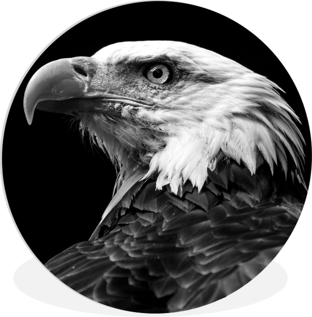MuchoWow Rundes Wandbild - Runde Bilder Adler - Vogel - schwarz und weiß Ø 60 cm Kreis Wanddekoration Kunststoff - Wandkreis - Wandschmuck - Wa...