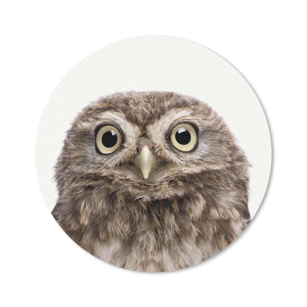MuchoWow Mauspad Mousepad Tiere - Eule - Weiß 20x20 cm - Mousepads - Maus Mat - Pad - Mausunterlage - Schreibtischmatte