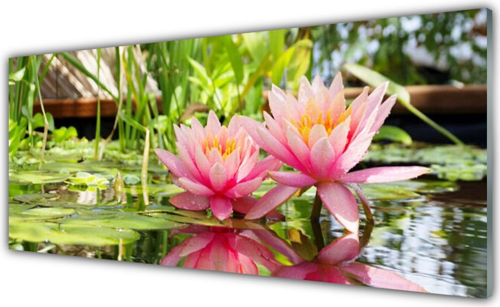 Küchenrückwand aus Glas 125x50cm Spritzschutz Blumen Pflanzen