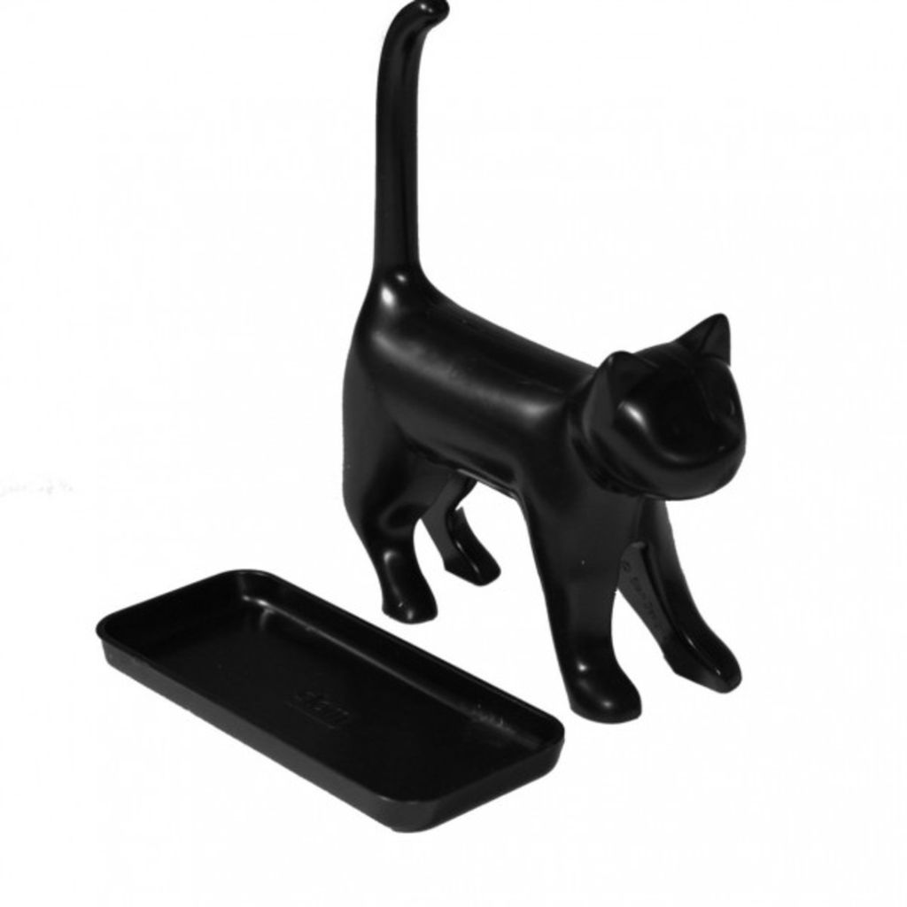 4 motivi per cui il gatto non smette di miagolare