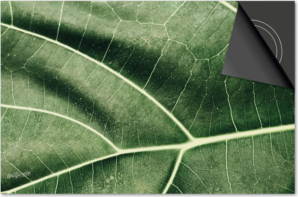 Induktionsschutz 76x51,5 - abdeckplatte Induktion matt- Dietrix Kochfeldschutz- Base - Blätter - 5 LeichtGrüne Kornblatt