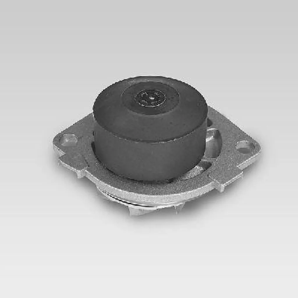 Pompe à eau de refroidissement HEPU P1041 pour Bravo et Marea Berline