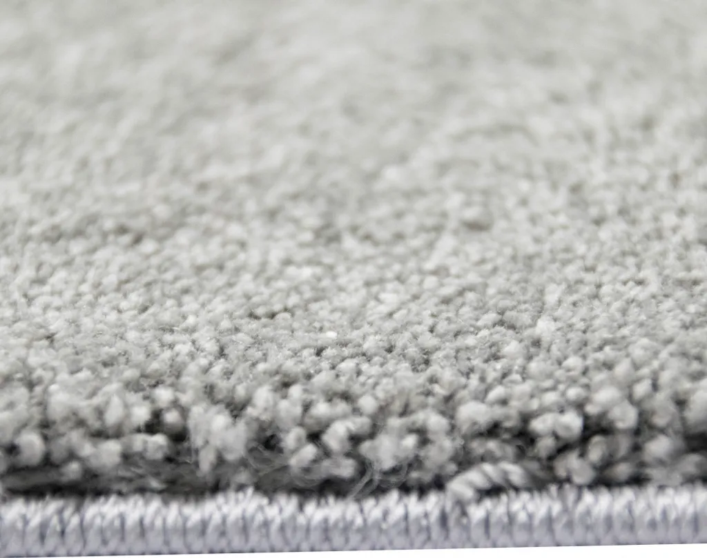 Grand Tapis de Salon Anthracite 200x290 cm Facile à Nettoyer et Durable