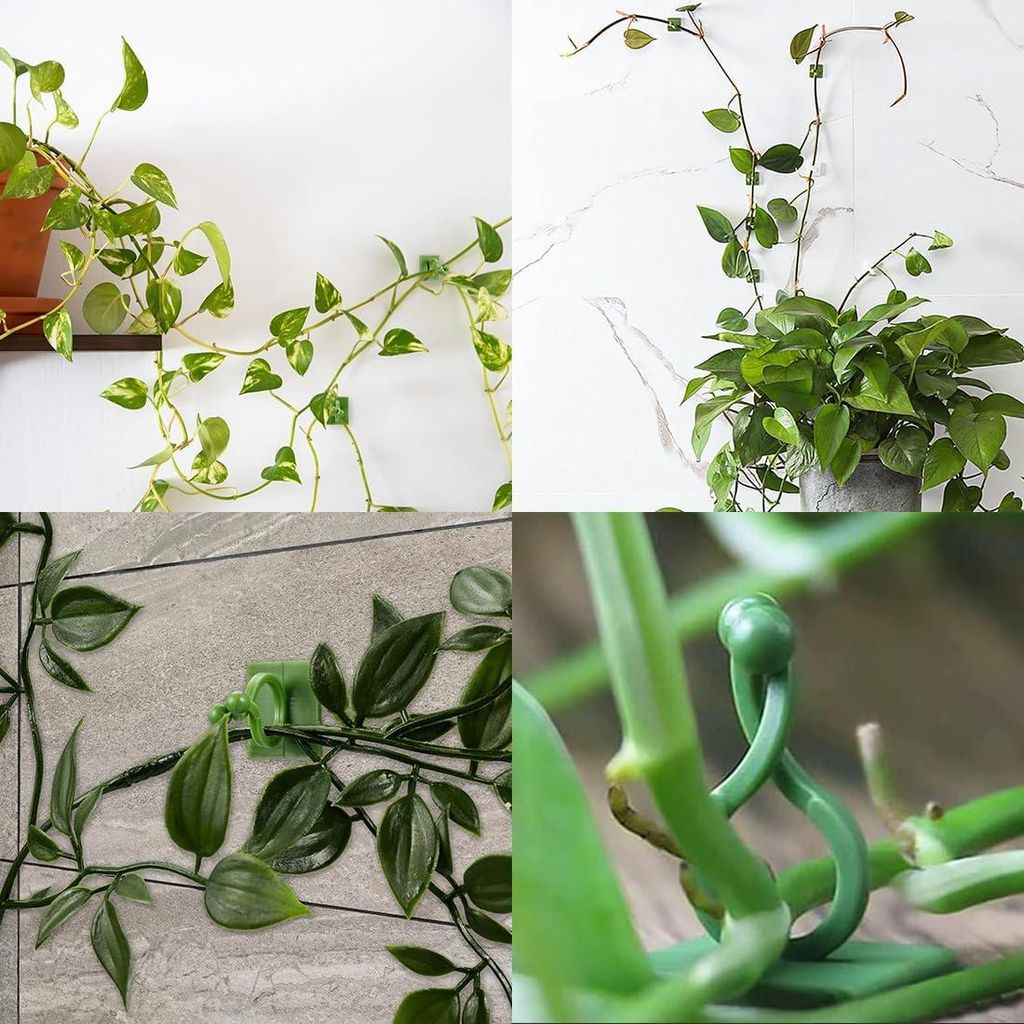 120 Stück Pflanzenwandhalter Pflanzenclips für Kletterpflanzen - 2 Größen