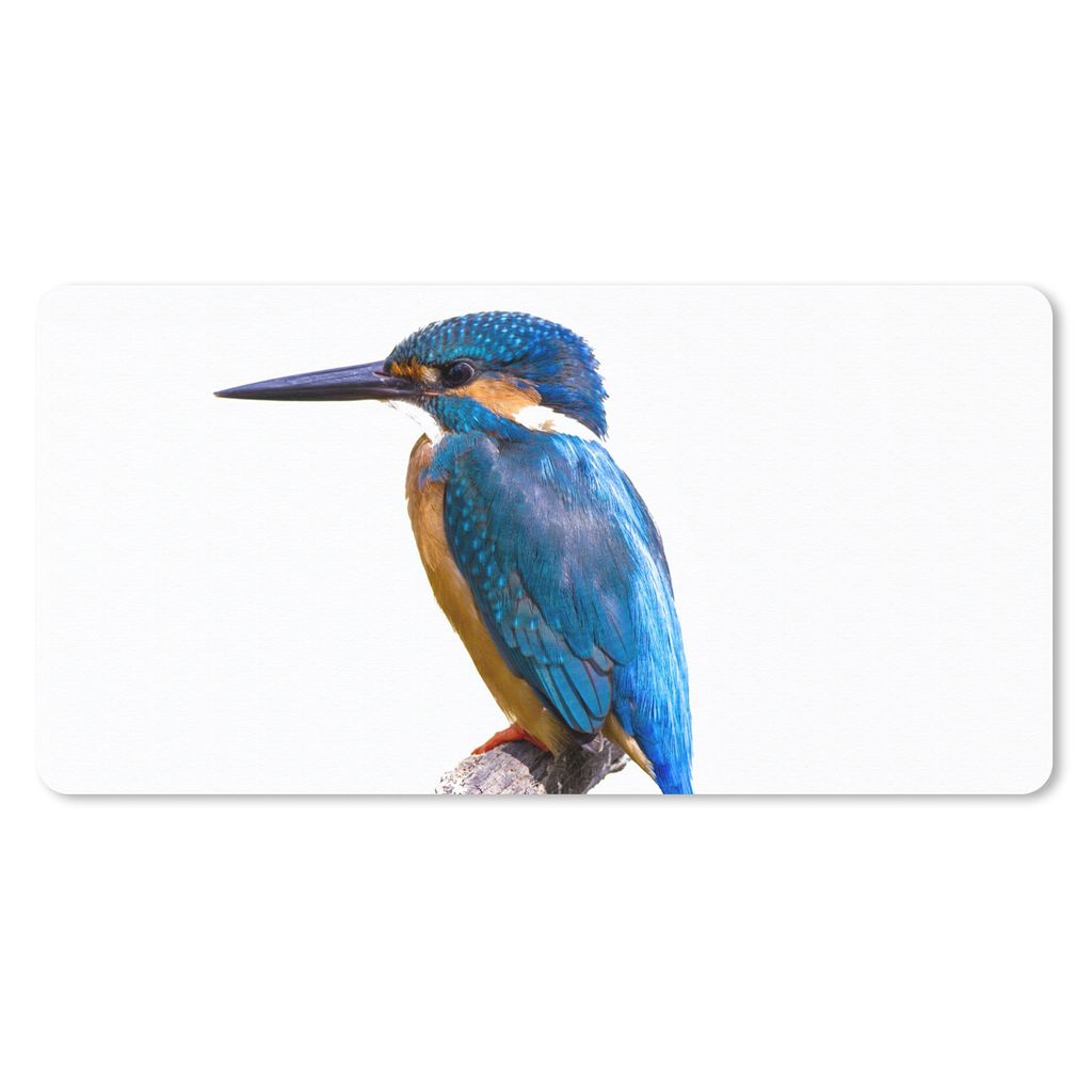 MuchoWow Schreibtischunterlage Eisvogel - Federn - Zweig - Blau 80x40 cm - XXL Mauspad - Gaming Mauspad