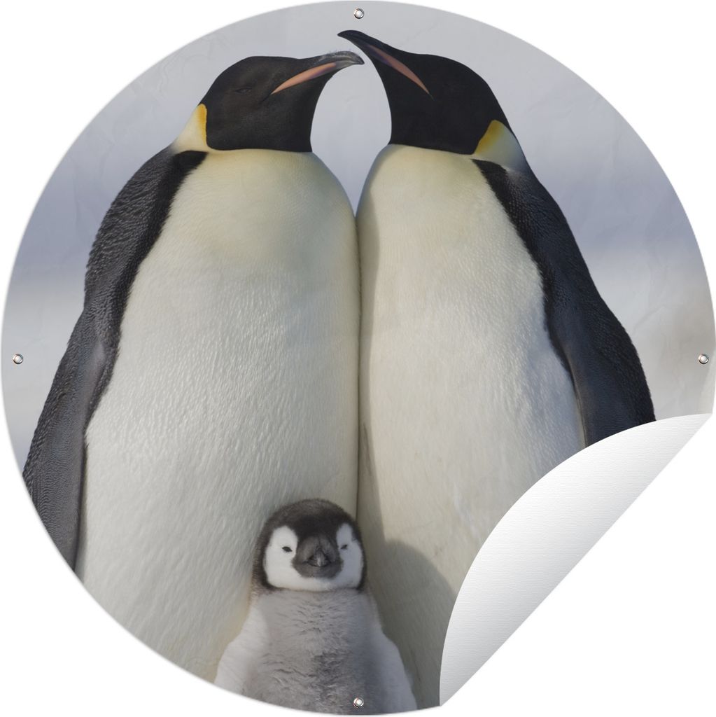MuchoWow Gartenposter Outdoor-Poster Rund Pinguin - Familie - Schnee Ø 90 cm Gartendeko Rundes Poster draußen
