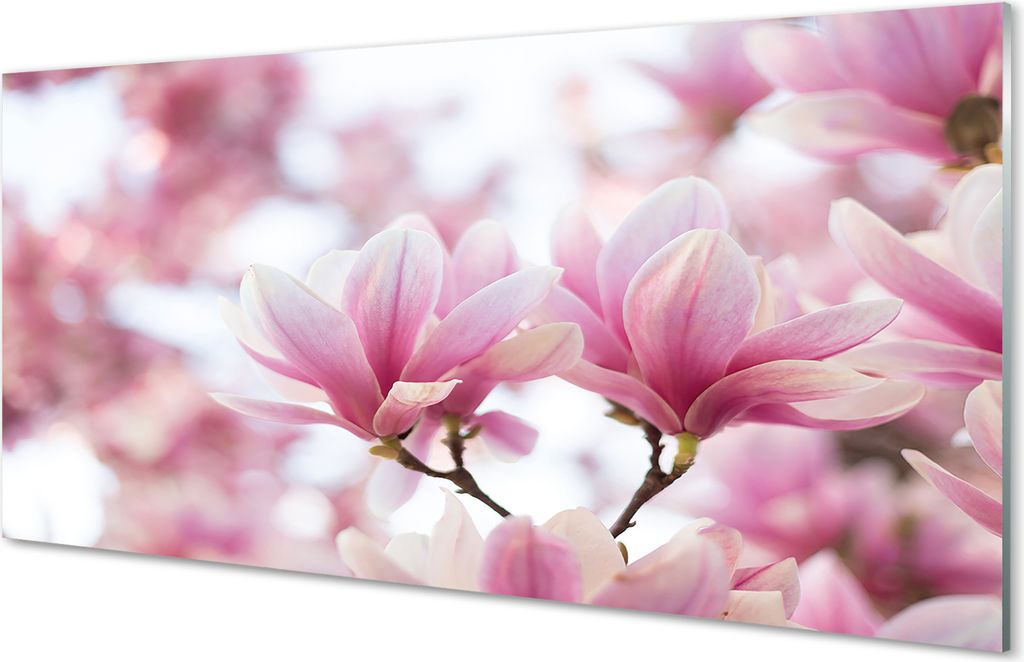 Glasbilder 140x70 Wandkunst Magnolienbaum