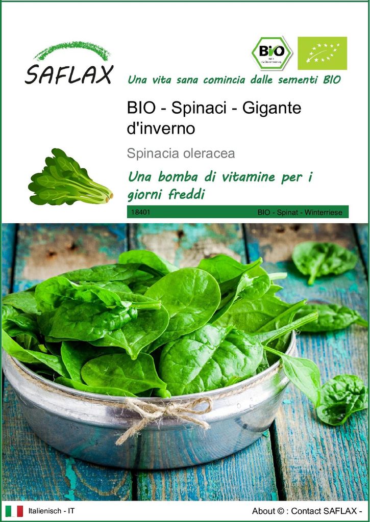 SAFLAX  -- Spinaci - Gigante d'inverno - 250 semi - Immagine del prodotto 
