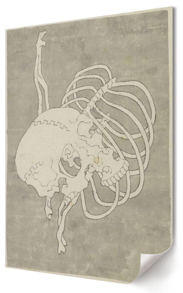 Schädel- Kunstdruck A2 (42x59 cm) - Japanisch, ausdrucksstark, künstlerisch- Wandbild für Wohnzimmer Schlafzimmer & Flur, Modernes Poster Wandde...