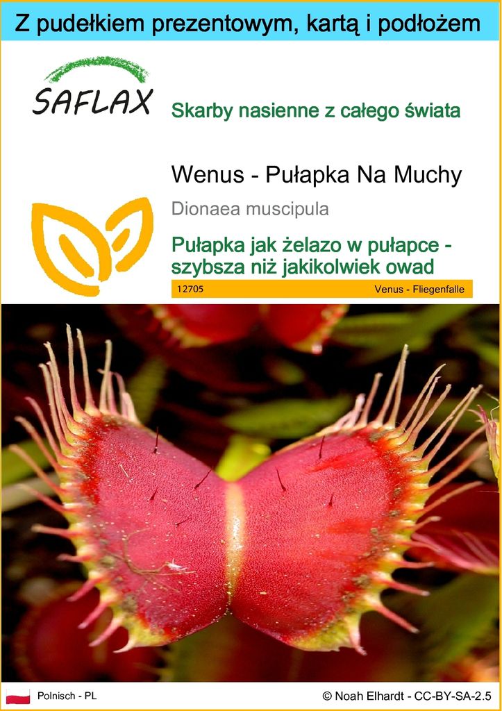SAFLAX - Zestaw prezentowy - Wenus - Pułapka Na Muchy - 10 Zdjęcie produktu 