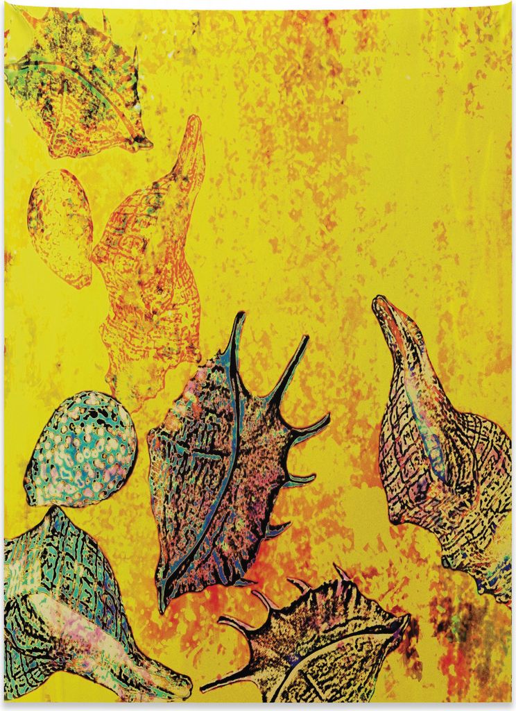 Abakuhaus Ozean Wandteppich, Seashells Tier Grunge aus Weiches Mikrofaser Stoff Kein Verblassen Klare Farben Waschbar, 110 x 150 cm, Gelb Teal