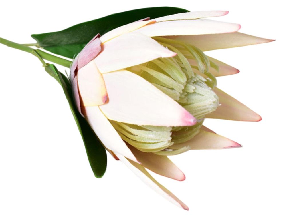Künstliche Königsprotea-Blüten, naturgetreue tropische Blumenarrangements, künstliche Protea Cynaroide mit Stiel für Hochzeits- und Bürotisch...