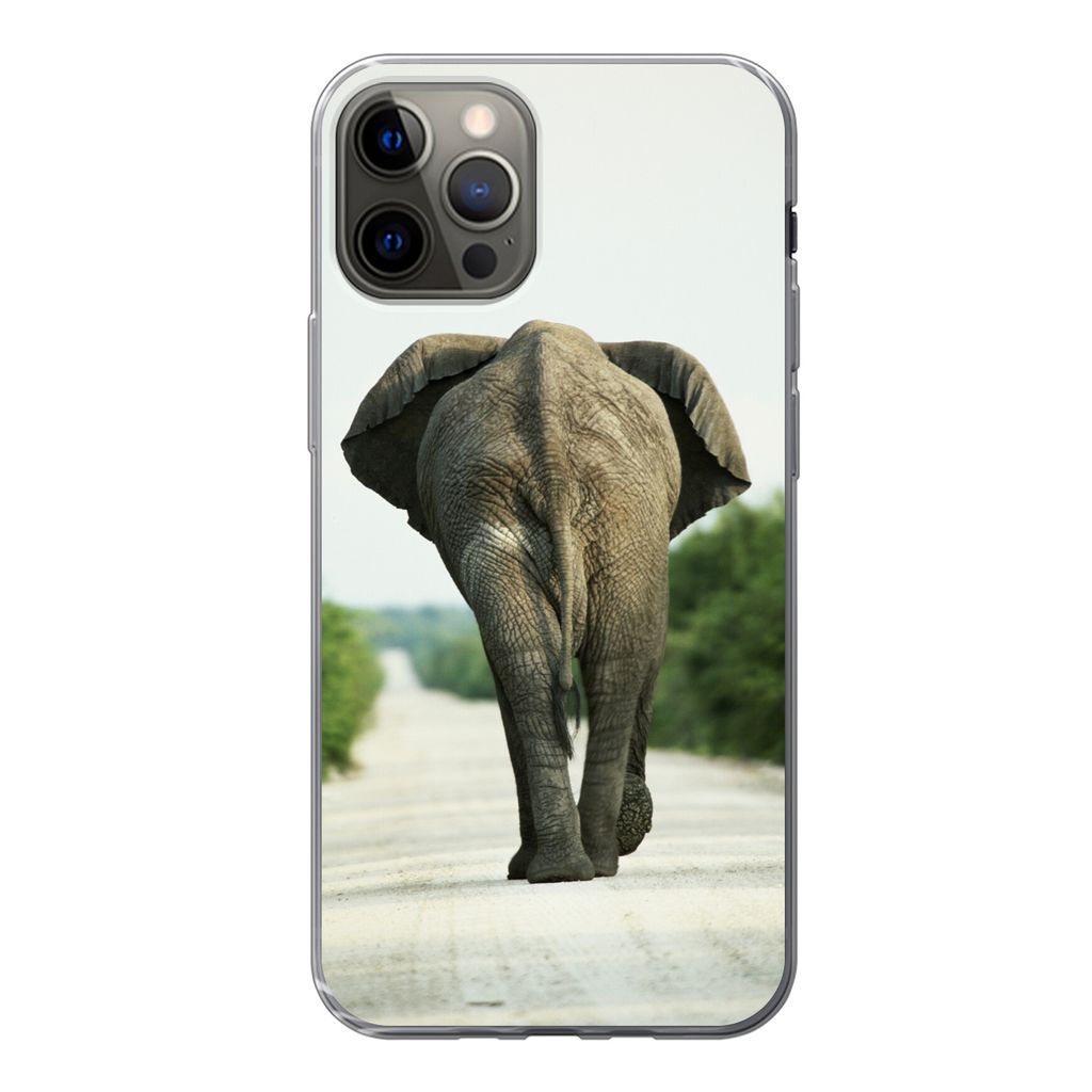 MuchoWow Handyhülle Schutzhülle Hülle für iPhone 13 Pro Elefant - Kröte - Tiere - Natur Silikon Softcase Handy Hülle - Handy-Tasche