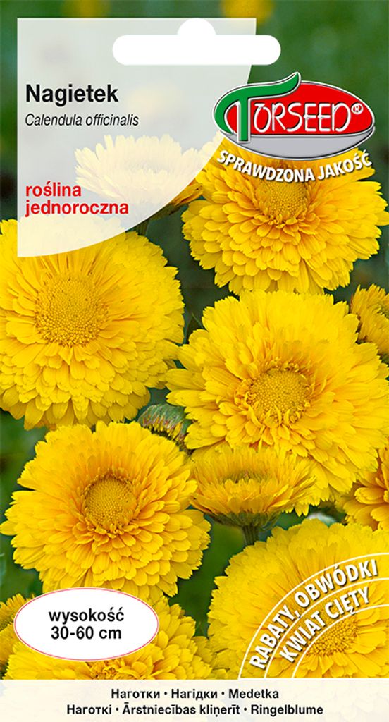 Strohgelbe Ringelblume Samen 3g - Torseed Produktbild 