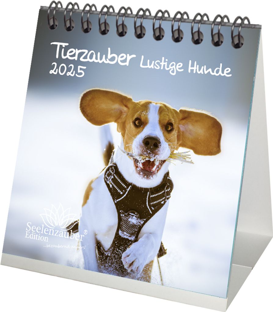 Tierzauber Lustige Hunde Kalender für 2025 Format 10cm x 10cm Welpen und Hunde - Seelenzauber