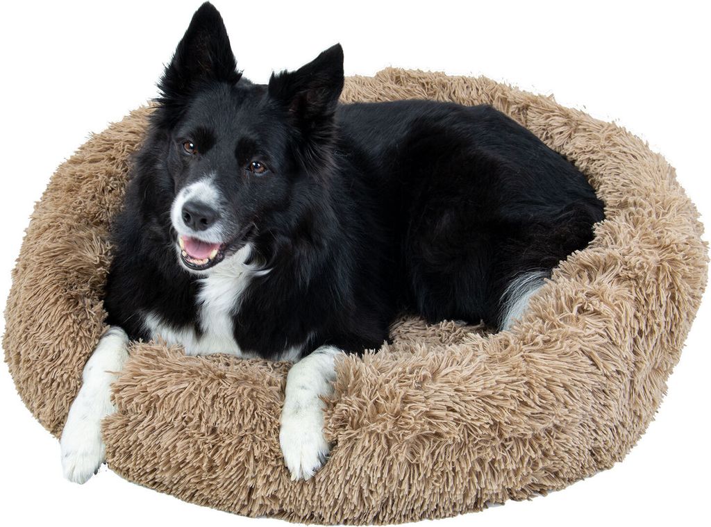 A black and white dog lying in a round, fluffy, light brown dog bed.