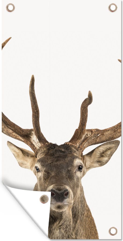 MuchoWow 40x80 cm Outdoor-Poster Gartendeko Sichtschutz Garten Poster für den Garten Hirsche - Tiere - Geweih - Kinder - Jungen