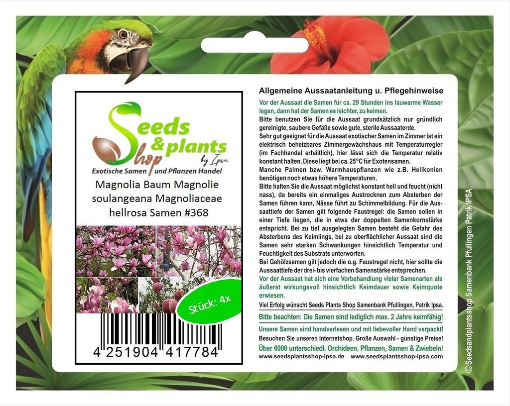4x Magnolia Baum Magnolie soulangeana Magnoliaceae Pflanzen - Samen A368