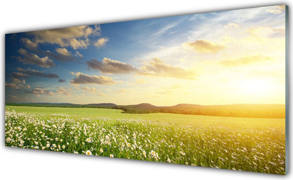 Acrylglasbilder 125x50 Wandbild Druck Wiese Blumen Landschaft