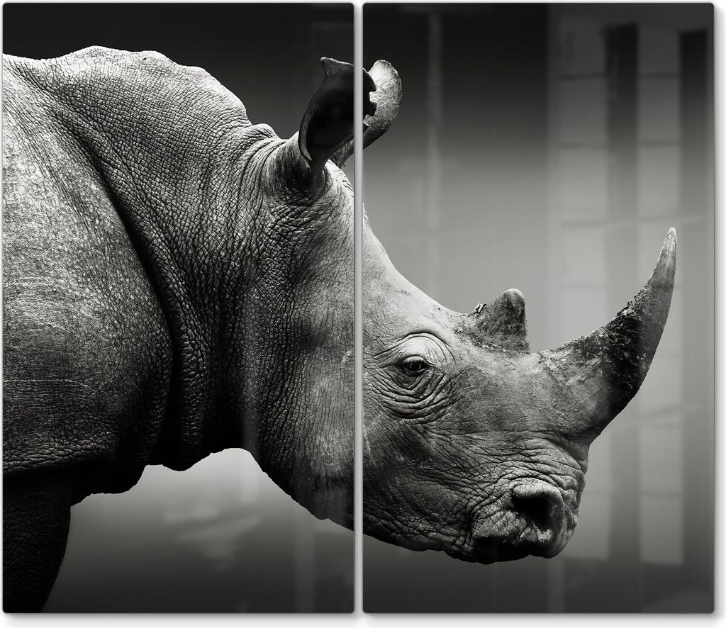 DEQORI Herdabdeckplatte Glas 2-tlg 'Nashorn im Profil' Herd Abdeckung Küche