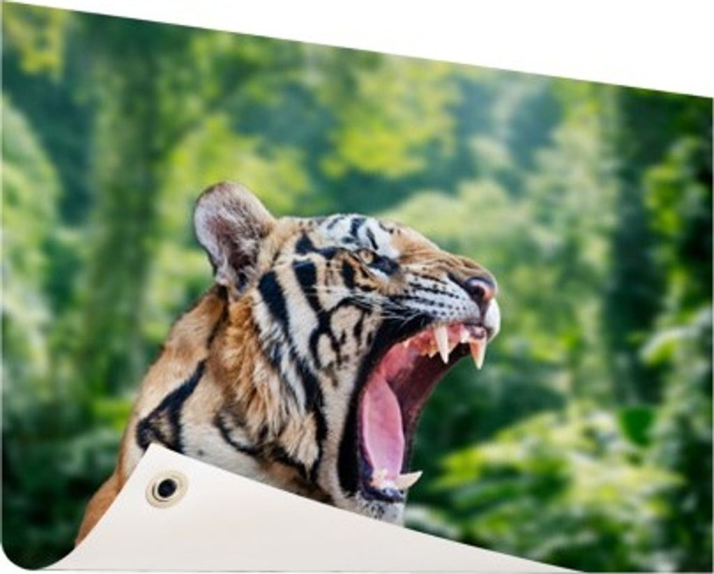 MuchoWow 120x90 cm Outdoor-Poster Gartendeko Sichtschutz Garten Poster für den Garten Tiger - Kopf - Wald