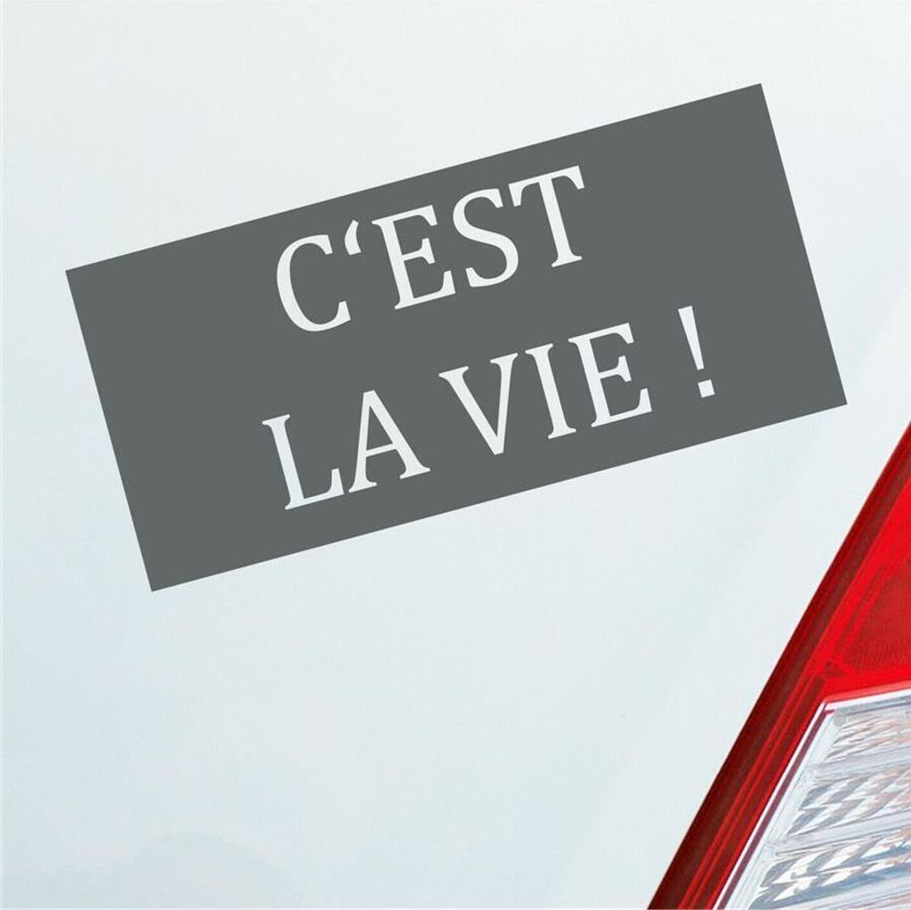 Auto Aufkleber C’est la vie! Frankreich französisch Spruch 19x9 cm Grau Sticker Heckscheibenaufkleber