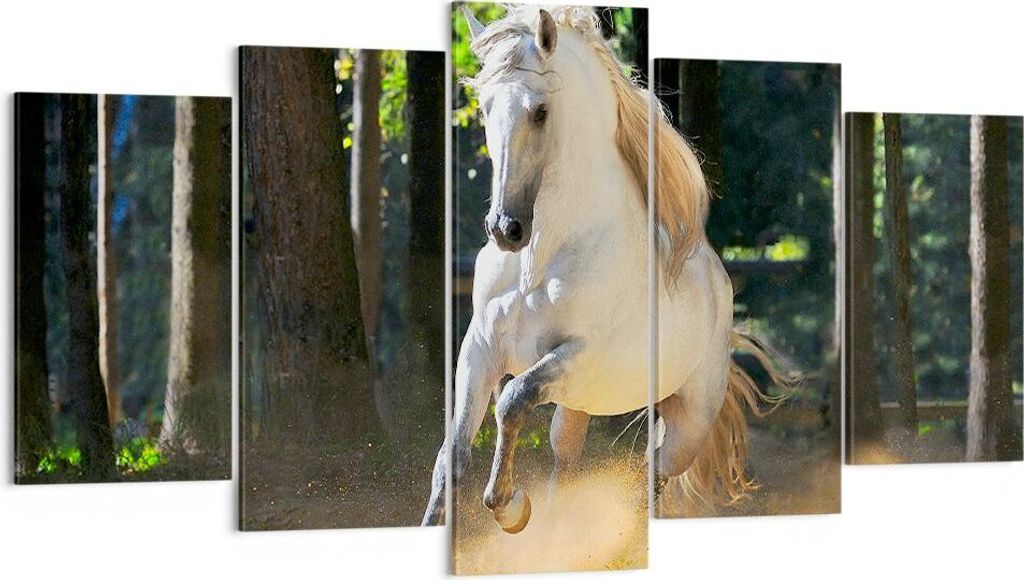 Bild auf Leinwand - Leinwandbild - Staub Emotionen Pferd Natur - 160x85cm - Wand Bild - Wanddeko - Leinwanddruck - Bilder - Kunstdruck - Wanddekora...
