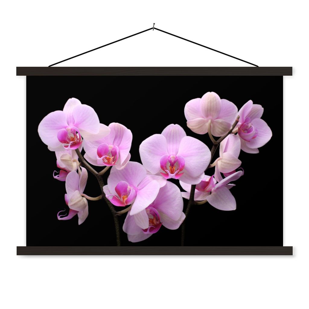 MuchoWow Textilposter Orchidee - Blumen - Rosa - Flora 60x40 cm mit schwarzem Rahmen - Hölzernes