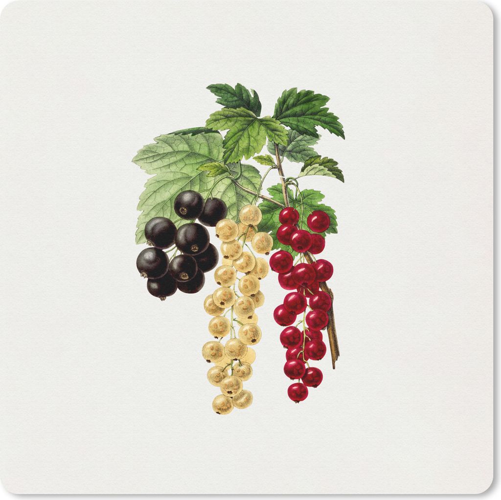 MuchoWow Mauspad Mousepad Beeren - Lebensmittel - Pflanze 30x30 cm - Mousepads - Maus Mat - Pad - Mausunterlage - Gaming