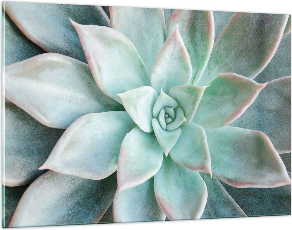 Bilder auf glas - Einteilig - Blau Blätter Agave - 120x80cm - Glasbilder - Wandbilder - Bilder - zum Aufhängen bereit - Wanddekoration aus Glas -...