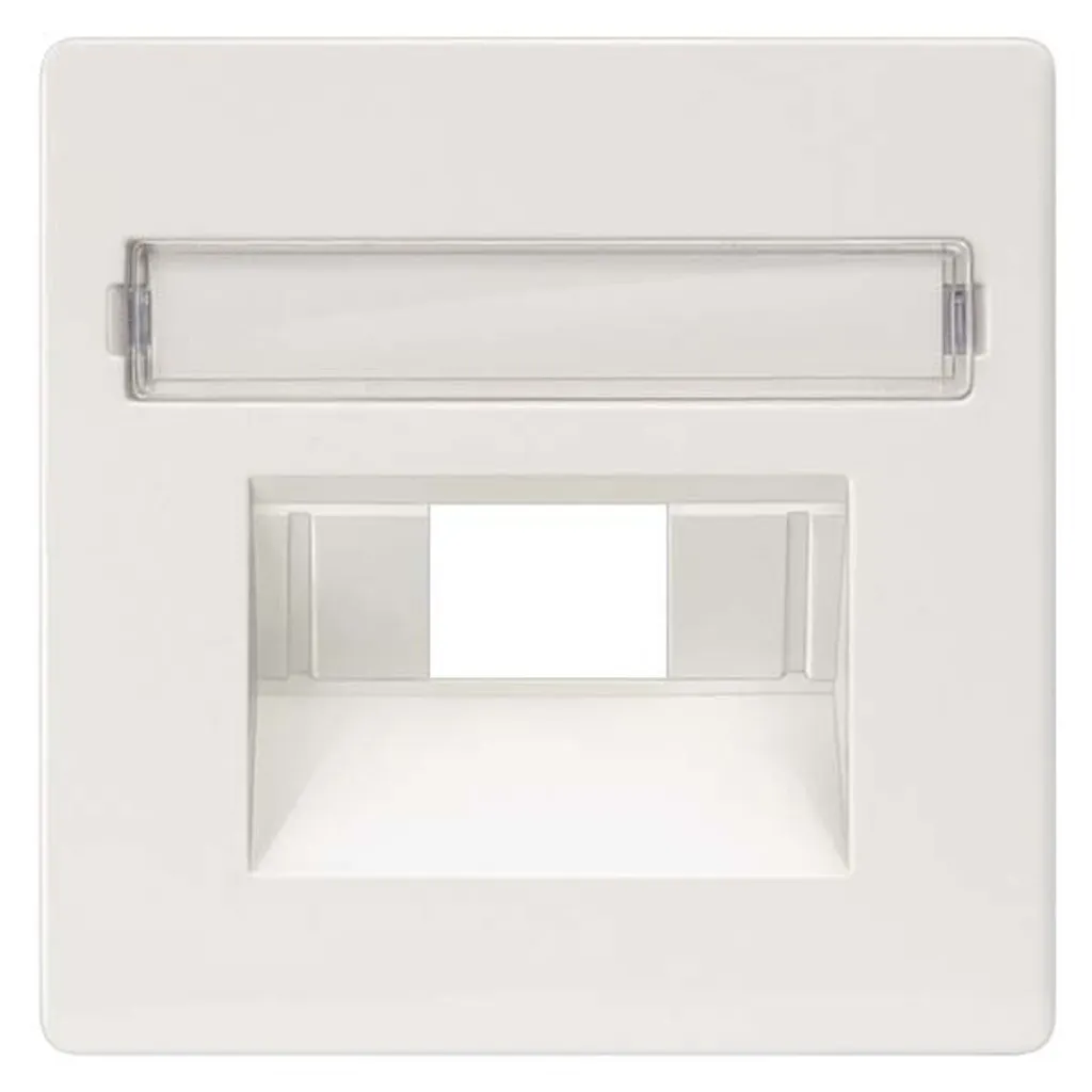 Piastra Copertura Siemens 5TG2546 per Presa LAN Bianco Titanio