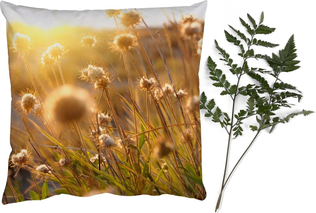 MuchoWow Zierkissen Sofakissen Wohnzimmer Dekokissen 60x60 cm Pflanzen - Natur - Blumen - Sonne - Horizont - Sitzfläche - Foto Polster