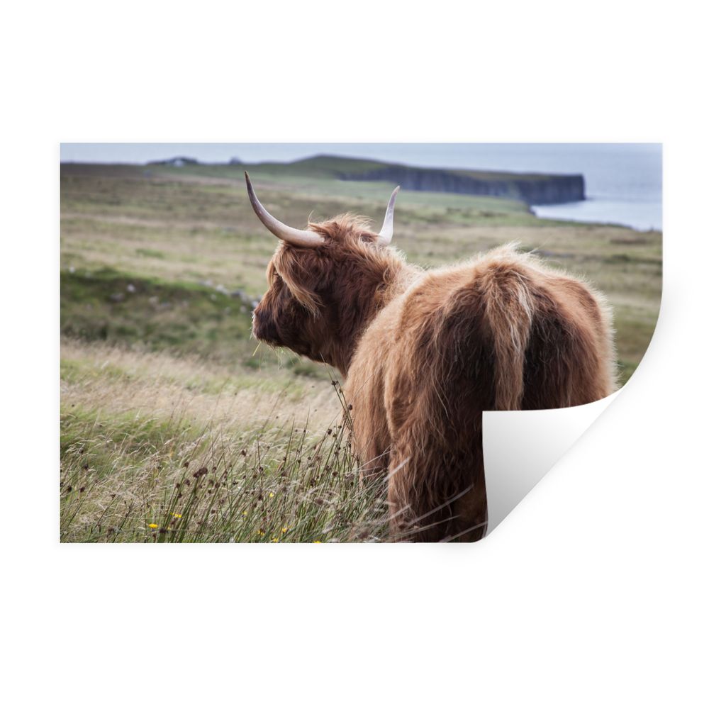 MuchoWow Wandtattoo Wandsticker Wandaufkleber Schottische Highlander - Natur - Meer 30x20 cm Selbstklebend und Repositionierbar - Wierderverwendb...