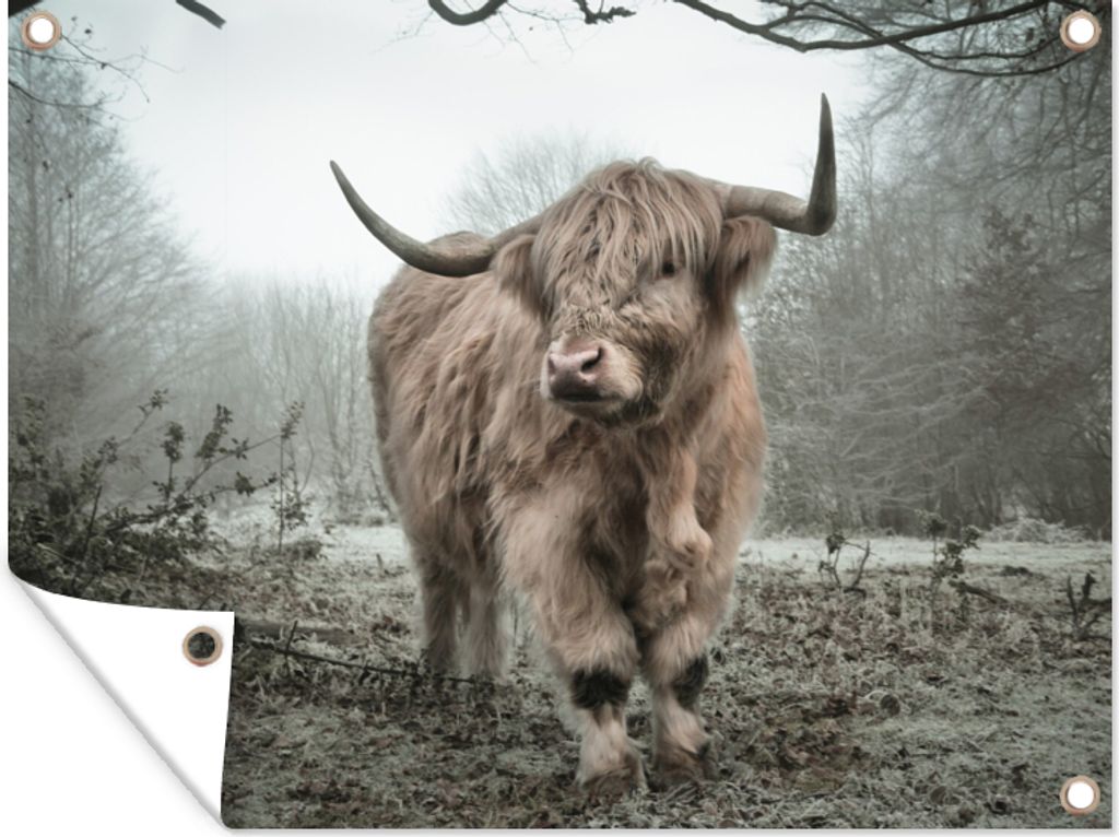 MuchoWow 80x60 cm Outdoor-Poster Gartendeko Sichtschutz Garten Poster für den Garten Schottischer Highlander - Wald - Nebel - Kuh - Tiere - Natur