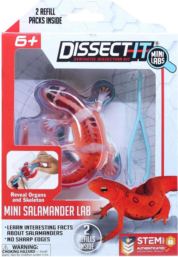 DISSECT-IT: Einen Salamander mit einer Lupe sezieren Produktbild 