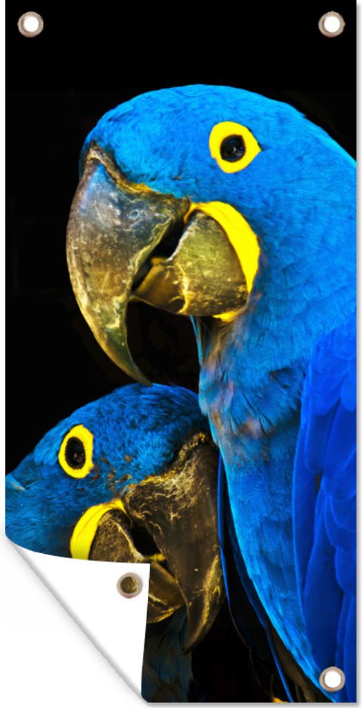 MuchoWow 80x160 cm Outdoor-Poster Gartendeko Sichtschutz Garten Poster für den Garten Papagei - Vogel - Federn - Blau