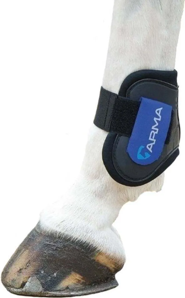 ARMA Stivali Fetlock ER252 Nero/Blu Reale | Protezione Salto Ostacoli