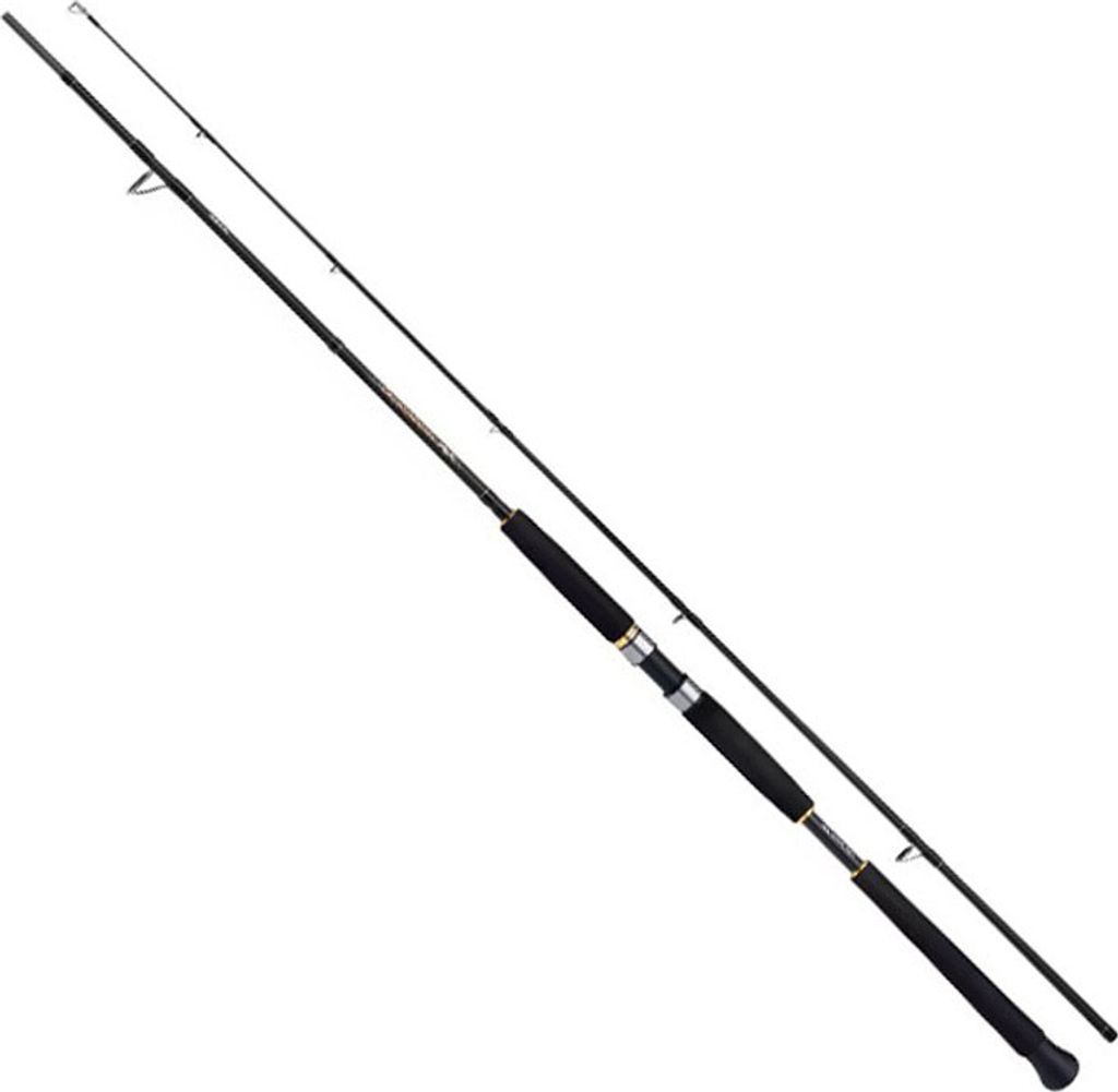 Shimano Beastmaster AX Pilk 2,40m 100-200g 2pc Pilkrute