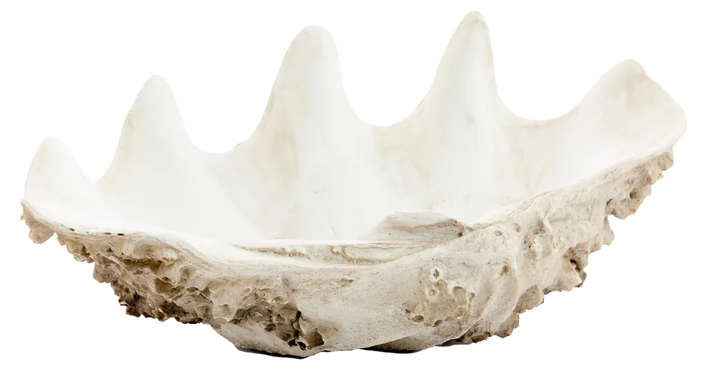 Sculpture Décorative SHELL Taupe et Crème 52cm - Objet Design Original