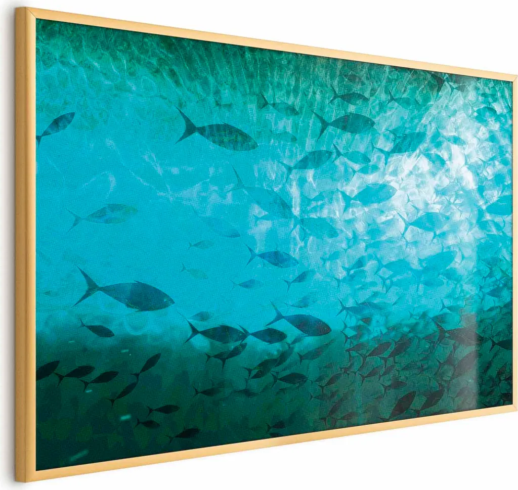 Fornitura Poster Pesci 90x60 Cornice Oro - Arredo Professionale