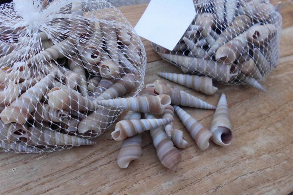 2 Netze echte Muscheln 4-6 cm, beige. Mediterrane Dekoration. Streudeko. Maritim