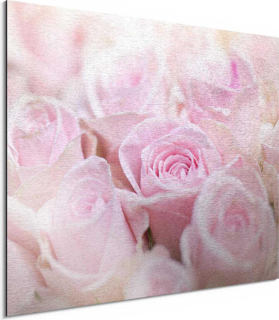 DEQORI Alu-Dibond Bild Silber 40x30 cm 'Zarte Rosenblüten' Wandbild Metall dünn Design