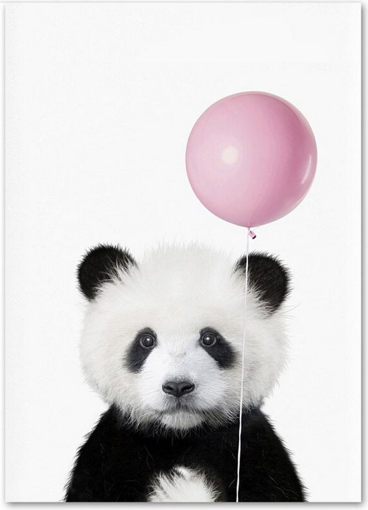 TPFLiving Kunstdruck LW-1032 (OHNE RAHMEN) Poster - Leinwand - Wandbild - Hochauflösender Giclée-Druck, langlebig und hochwertig - Hase, Waschbä...