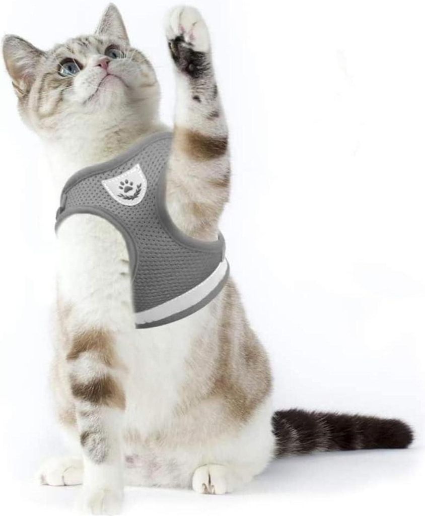 Supet Harnais pour chats avec laisse anti-fugue réglable S Image du produit 