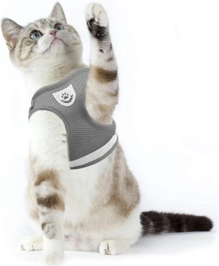 Harnais chat réfléchissant et durable Supet, gilet confortable Gris M