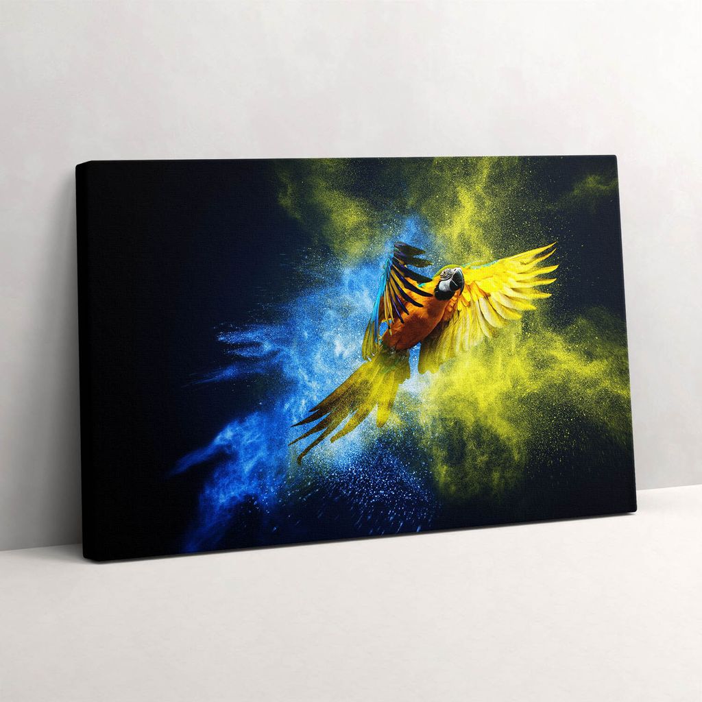 Bunter Papagei – Leinwandbild Wandbild – 30x20 cm – Leinwandbilder – Wandbilder – Schlafzimmer – Flur