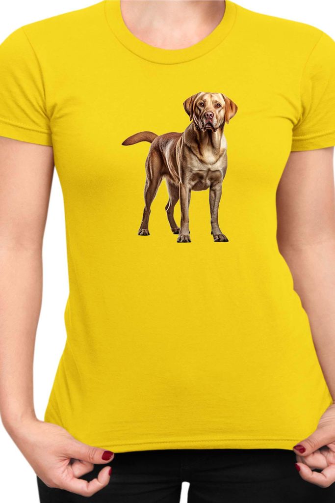 Damen T-Shirt Dogs Breeds Labrador Retriever Dog Breed 005, Lady S / Gelb